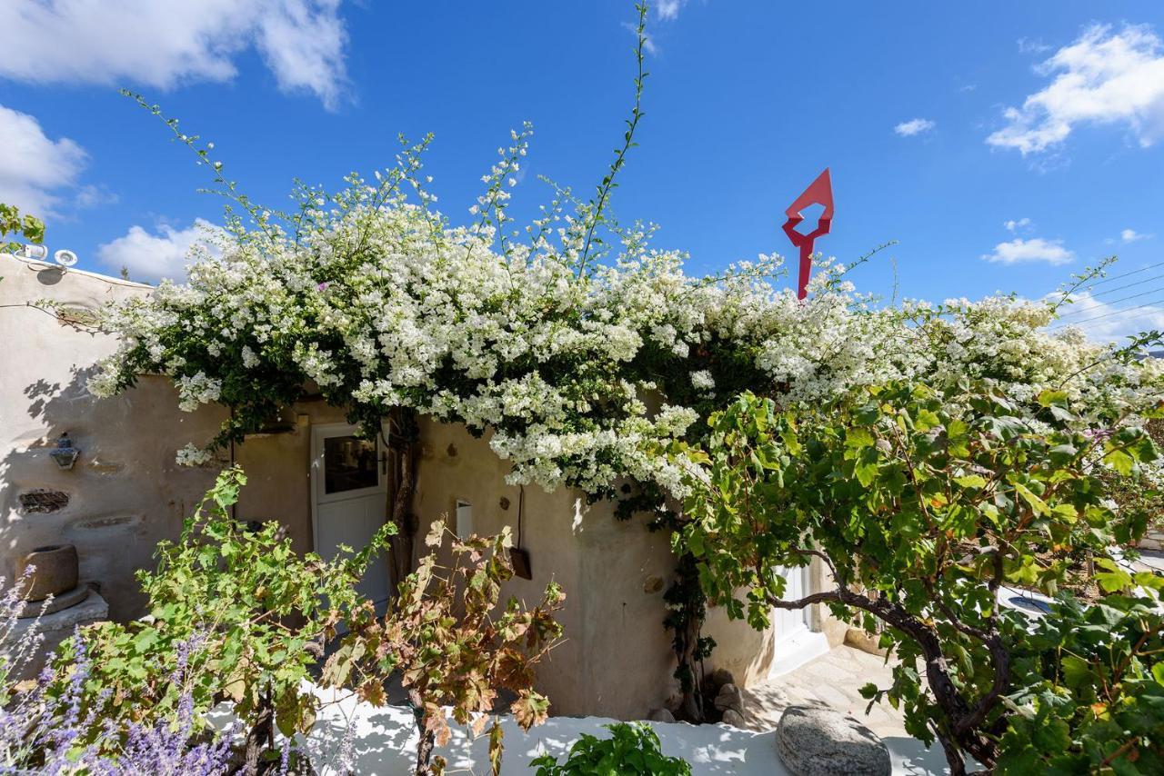 The Olive Mill Guest House Lefkes (Paros) Exterior foto